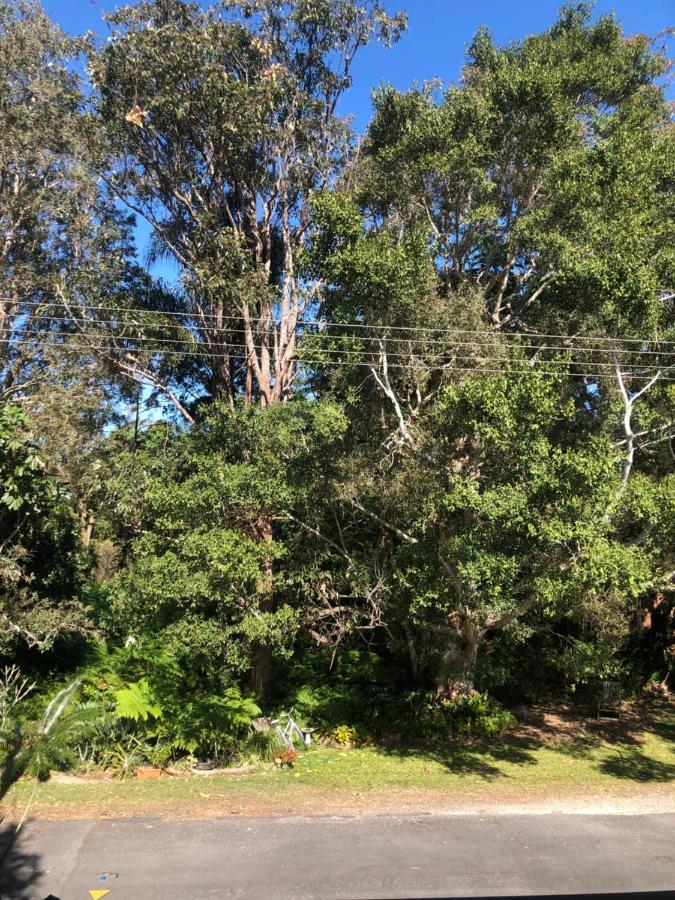 Ferienwohnung Brunswick Heads Treetop Studio Exterior foto